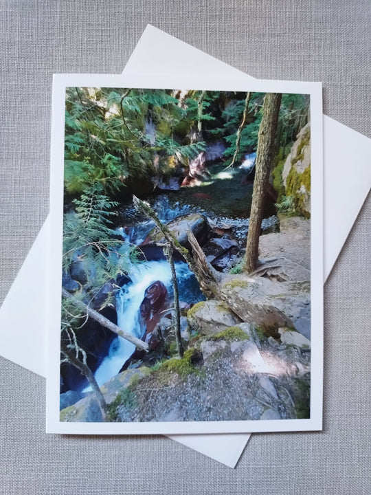 Avalanche Creek - Blank Inside