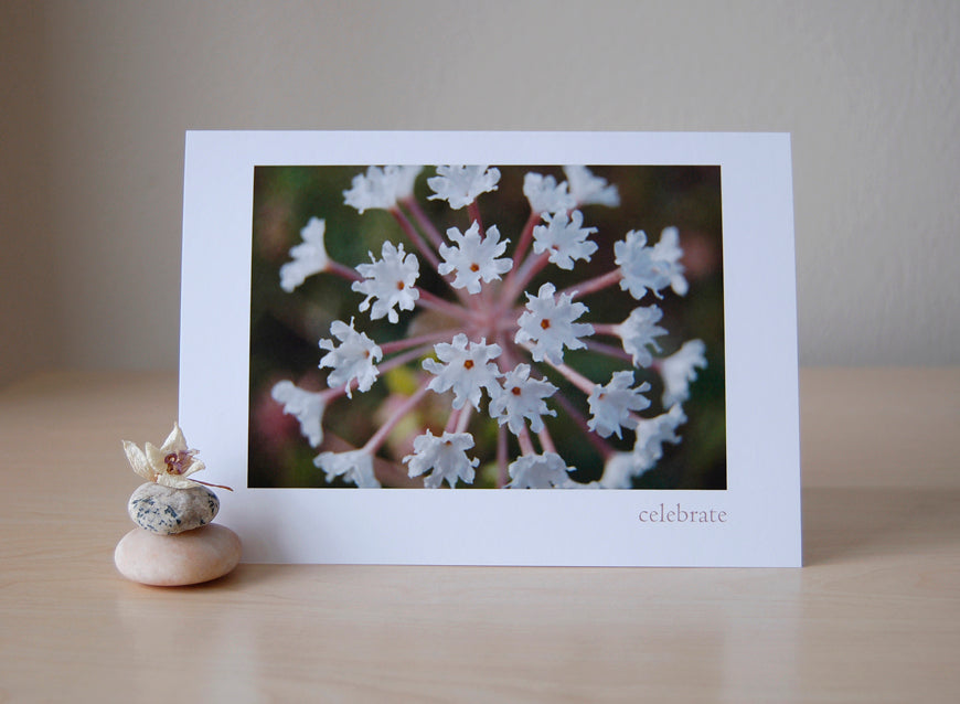 Celebrate - It's Your Birthday!
