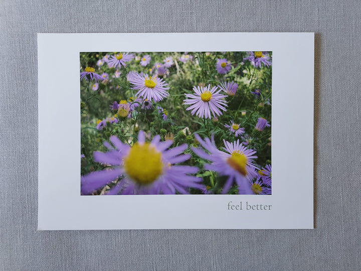 Feel Better (Asters) - Blank Inside