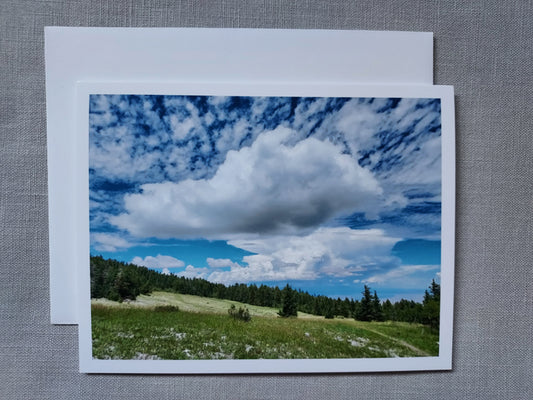 Big Sky - Blank Inside