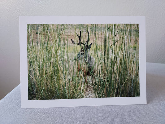 Deer Friend - Blank Inside
