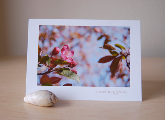 Everything Grows with Love