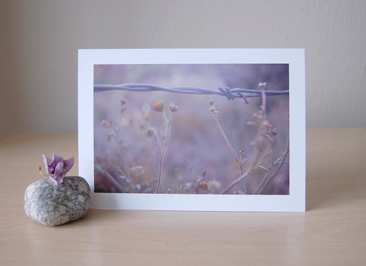Flowers and Wire - Blank Inside
