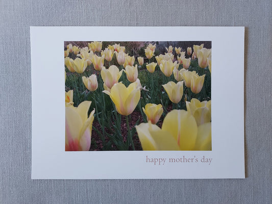 Happy Mother's Day (Tulips) - Blank Inside