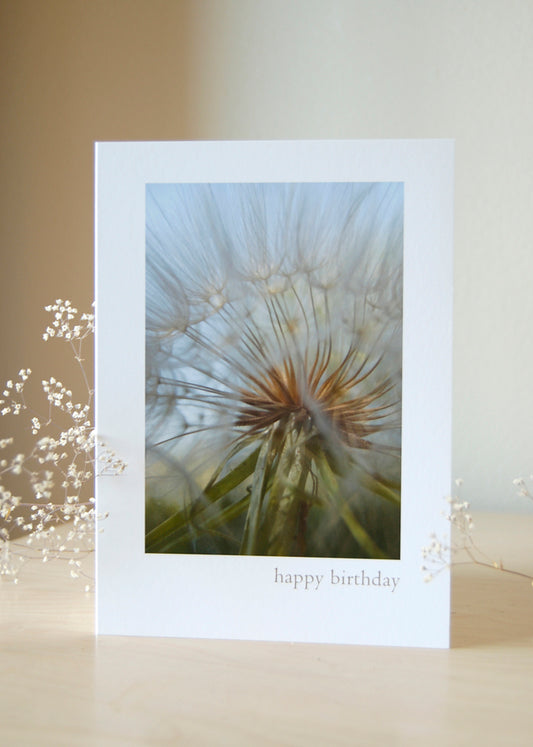 Happy Birthday - May Your Wishes Come True