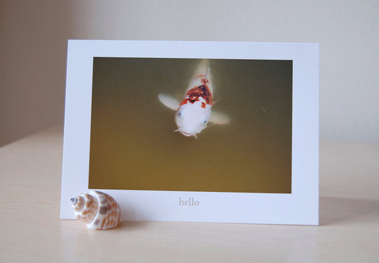 Hello - Blank Inside
