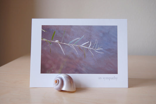 In Sympathy - Sorry for Your Loss