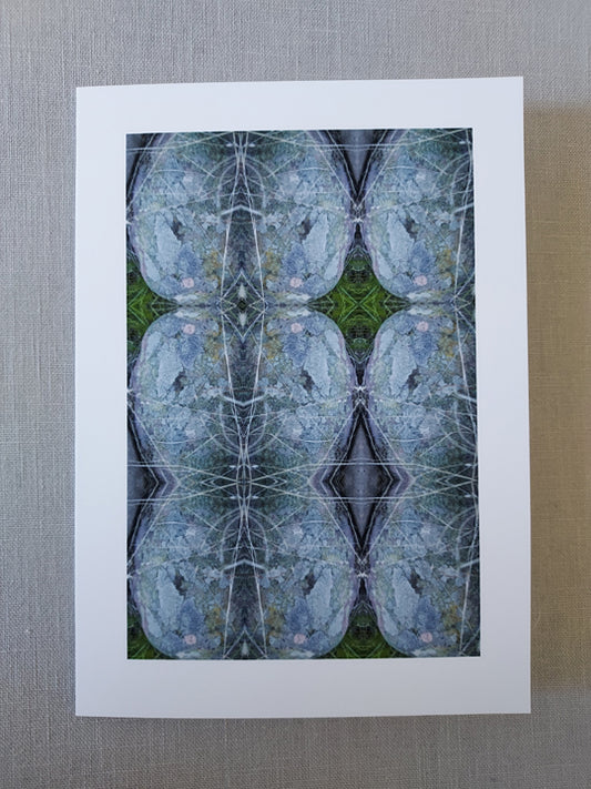Lichen Pattern - Blank Inside
