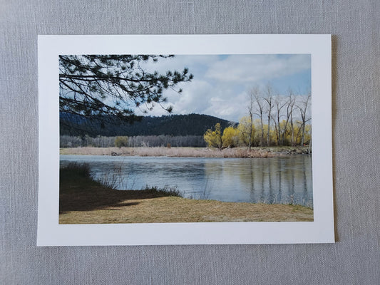 Maclay Flat, Early Spring - Blank Inside