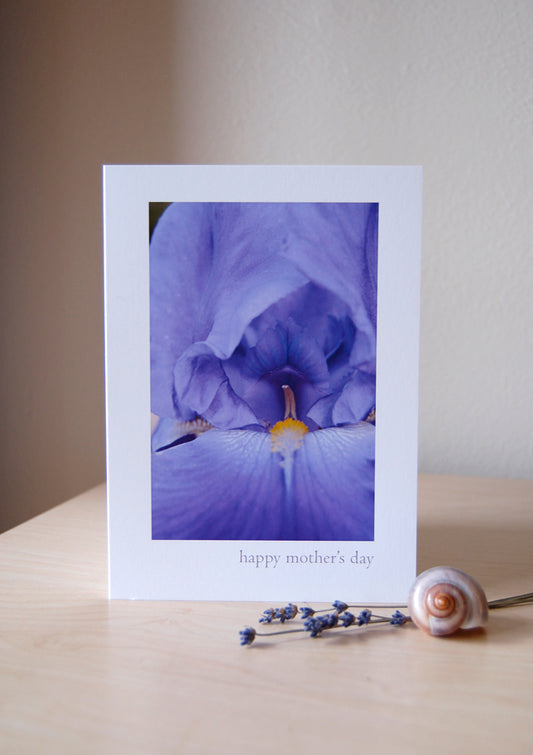 Happy Mother's Day (Iris) - Blank Inside