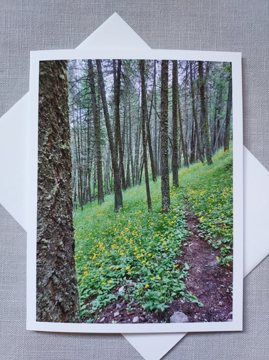 Spring in Pattee Canyon - Blank Inside
