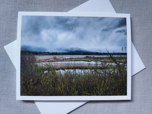 Storm Clouds Over the Wetlands - Blank Inside