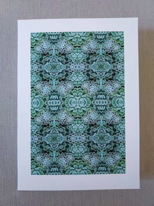 Succulent Pattern (a) - Blank Inside