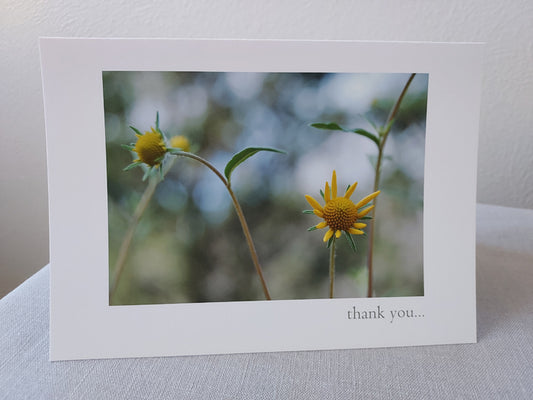 Thank You - For Your Kindness