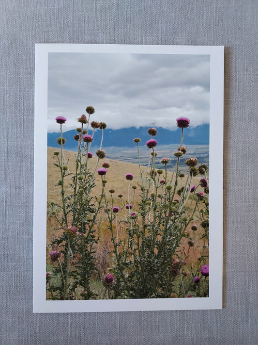 Thistle - Blank Inside