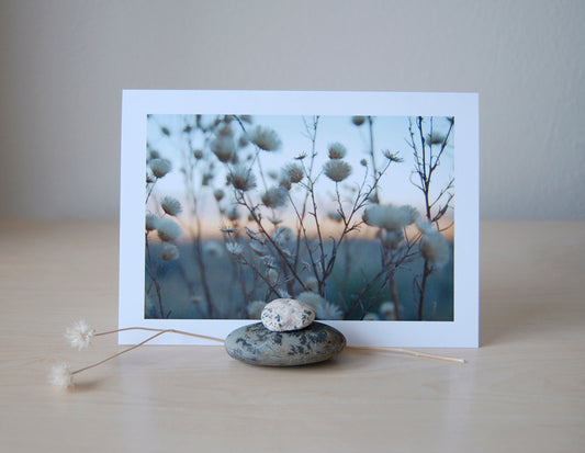White Sands Flowers - Blank Inside